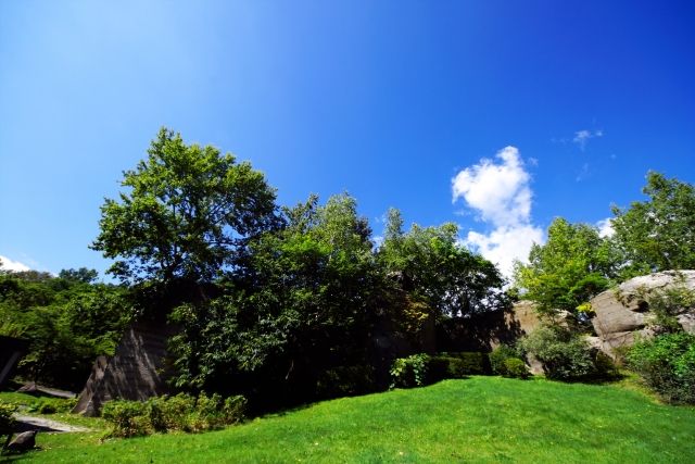 緑豊かな自然環境